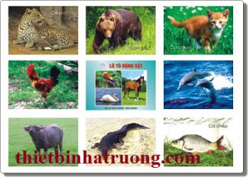 Lô tô động vật